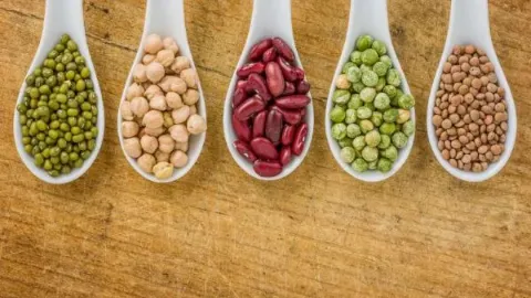 Legumes